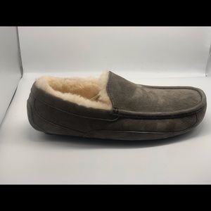 NWOT UGG Ascot Slipper